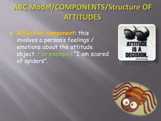  Affective component: this
involves a person’s feelings /
emotions about the attitude
object. For example: “I am scared
of spiders”.
 