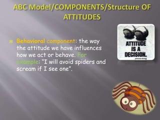  Behavioral component: the way
the attitude we have influences
how we act or behave. For
example: “I will avoid spiders and
scream if I see one”.
 