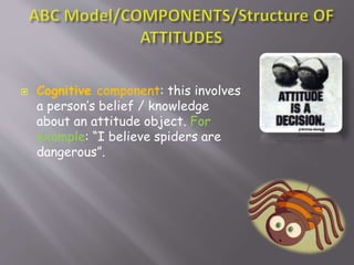  Cognitive component: this involves
a person’s belief / knowledge
about an attitude object. For
example: “I believe spiders are
dangerous”.
 