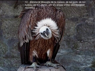 13. Élimine le désordre de ta maison, de ton auto, de ton
bureau, de ton atelier, afin d’y laisser entrer des énergies
nouvelles.
 
