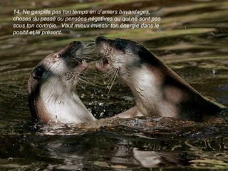 14. Ne gaspille pas ton temps en d’amers bavardages,
choses du passé ou pensées négatives ou qui ne sont pas
sous ton contrôle. Vaut mieux investir ton énergie dans le
positif et le présent.
 