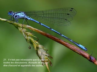 21. Il n’est pas nécessaire que tu gagnes
toutes les discussions. Accepte de ne pas
être d’accord et apprends des autres.
 