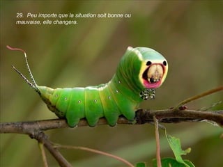 29. Peu importe que la situation soit bonne ou
mauvaise, elle changera.
 