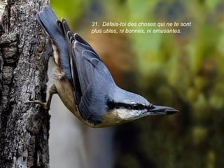 31. Défais-toi des choses qui ne te sont
plus utiles, ni bonnes, ni amusantes.
 