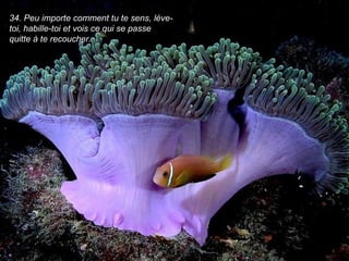 34. Peu importe comment tu te sens, lève-
toi, habille-toi et vois ce qui se passe
quitte à te recoucher.
 