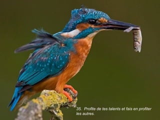 35. Profite de tes talents et fais en profiter
les autres.
 