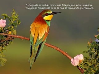 8. Regarde au ciel au moins une fois par jour pour te rendre
compte de l’immensité et de la beauté du monde qui t’entoure.
 