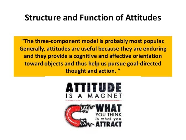 Attitude Formation and Change