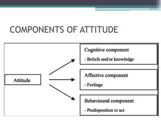 COMPONENTS OF ATTITUDE
 