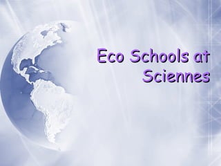 Eco Schools at Sciennes 