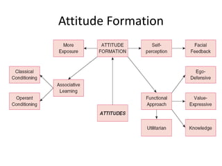 Attitude Formation
 