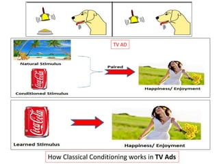 TV AD
How Classical Conditioning works in TV Ads
 
