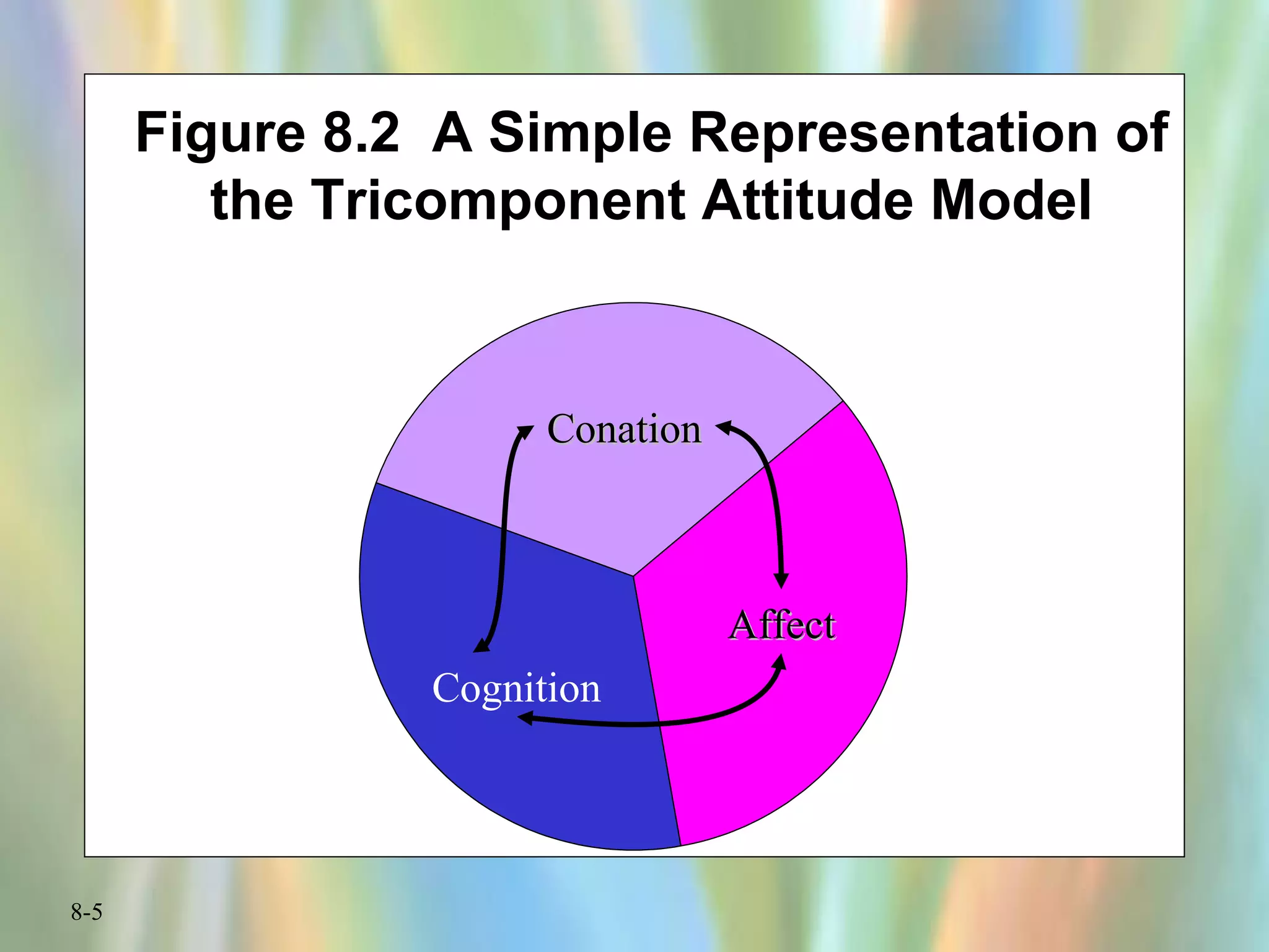 8-5
Figure 8.2 A Simple Representation of
the Tricomponent Attitude Model
ConationConation
AffectAffect
Cognition
 