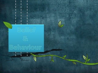 Belief& Behaviour