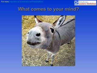 What comes to your mind? 