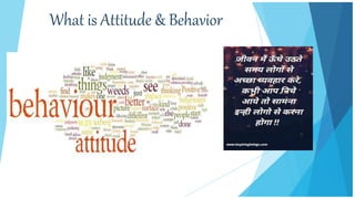 What is Attitude & Behavior
 