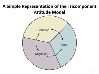 Cognition
A Simple Representation of the Tricomponent
Attitude Model
5
 