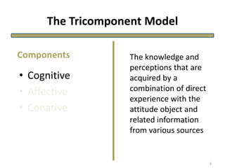 The Tricomponent Model
• Cognitive
• Affective
• Conative
The knowledge and
perceptions that are
acquired by a
combination of direct
experience with the
attitude object and
related information
from various sources
Components
6
 