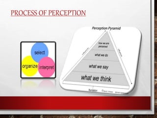 Attitude and perception | PPTX
