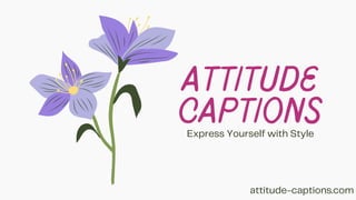 Attitude
captions
Express Yourself with Style
attitude-captions.com
 