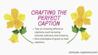 Good Caption Examples Attitude captions.pdf