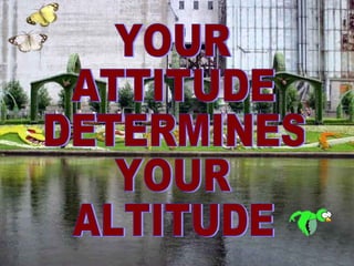 YOUR ATTITUDE DETERMINES YOUR ALTITUDE 