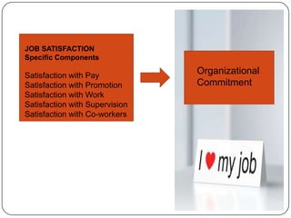 JOB SATISFACTION
Specific Components

Satisfaction with Pay
                                Organizational
Satisfaction with Promotion     Commitment
Satisfaction with Work
Satisfaction with Supervision
Satisfaction with Co-workers
 