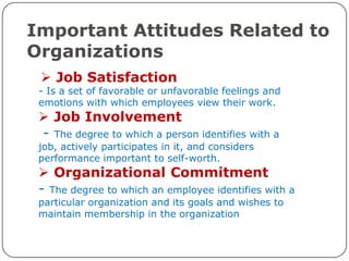 Important Attitudes Related to
Organizations
  Job Satisfaction
 - Is a set of favorable or unfavorable feelings and
 emotions with which employees view their work.
  Job Involvement
 - The degree to which a person identifies with a
 job, actively participates in it, and considers
 performance important to self-worth.
  Organizational Commitment
 - The degree to which an employee identifies with a
 particular organization and its goals and wishes to
 maintain membership in the organization
 