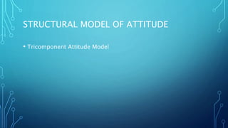 STRUCTURAL MODEL OF ATTITUDE
• Tricomponent Attitude Model
 