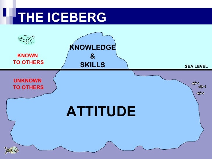 Attitude Iceberg