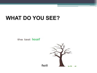 WHAT DO YOU SEE?
 