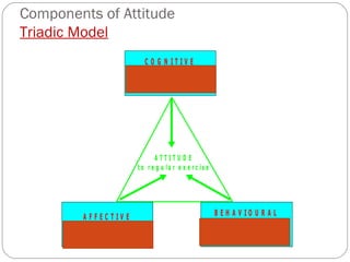 Components of Attitude Triadic Model 