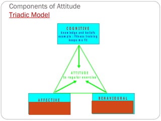 Components of Attitude Triadic Model 
