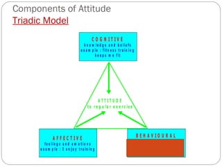 Components of Attitude Triadic Model 