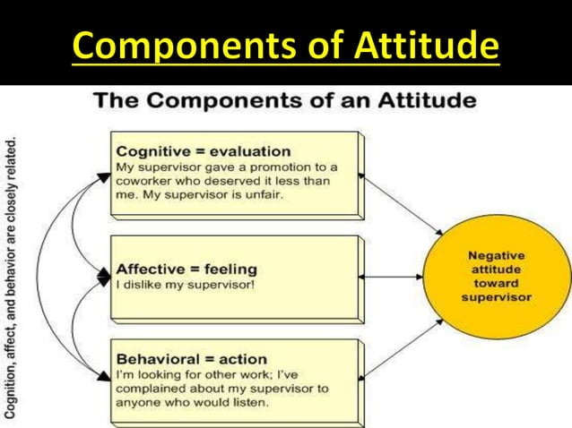 Attitudes Organisational Behaviour Pptx Attitudes Organisational Behaviour Pptx