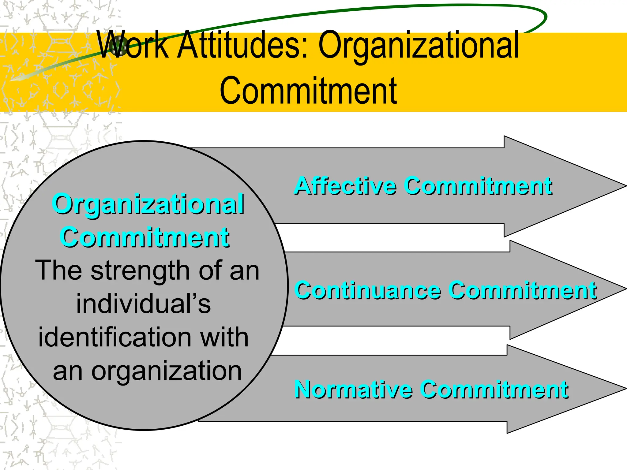 Work Attitudes: Organizational
Commitment
Affective Commitment
Affective Commitment
Continuance Commitment
Continuance Commitment
Normative Commitment
Normative Commitment
Organizational
Organizational
Commitment
Commitment
The strength of an
individual’s
identification with
an organization
 