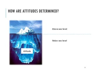 HOW ARE ATTITUDES DETERMINED?
21
Attitude
Above sea level
Below sea level
 