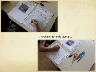 … riportato i dati sulla tabella …