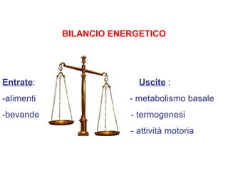 BILANCIO ENERGETICO




Entrate:                  Uscite :
-alimenti               - metabolismo basale
-bevande                - termogenesi
                        - attività motoria
 