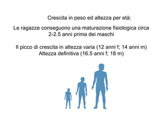 Crescita in peso ed altezza per età:
Le ragazze conseguono una maturazione fisiologica circa
              2-2.5 anni prima dei maschi

Il picco di crescita in altezza varia (12 anni f; 14 anni m)
            Altezza definitiva (16.5 anni f; 18 m)
 