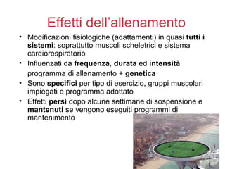 Effetti dell’allenamento
• Modificazioni fisiologiche (adattamenti) in quasi tutti i
  sistemi: soprattutto muscoli scheletrici e sistema
  cardiorespiratorio
• Influenzati da frequenza, durata ed intensità
  programma di allenamento + genetica
• Sono specifici per tipo di esercizio, gruppi muscolari
  impiegati e programma adottato
• Effetti persi dopo alcune settimane di sospensione e
  mantenuti se vengono eseguiti programmi di
  mantenimento
 