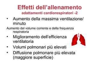 Effetti dell’allenamento
          adattamenti cardiorespiratori -2
•   Aumento della massima ventilazione/
    minuto
Aumento del volume corrente e della frequenza
   respiratoria
•   Miglioramento dell’efficienza
    ventilatoria
•   Volumi polmonari più elevati
•   Diffusione polmonare più elevata
    (maggiore superficie)
 