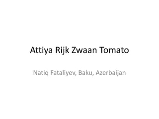 Attiya Rijk Zwaan Tomato
Natiq Fataliyev, Baku, Azerbaijan
 