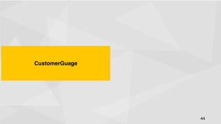 CustomerGuage
!

44
!

 