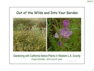4/6/2013




  Out of the Wilds and Into Your Garden




Gardening with California Native Plants in Western L.A. County
                Project SOUND – 2013 (our 9th year)
                                                      © Project SOUND




                                                                              1
 