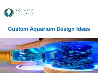 Custom Aquarium Design Ideas 
 