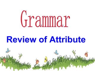Grammar Review of Attribute  