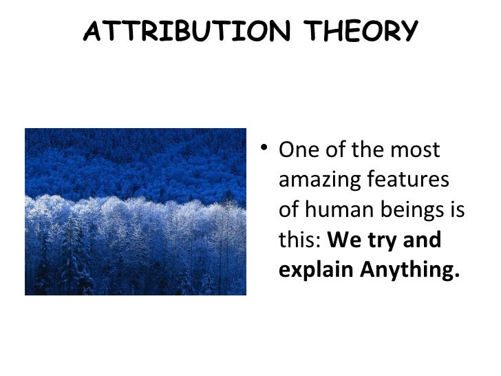 Attribution theory essay