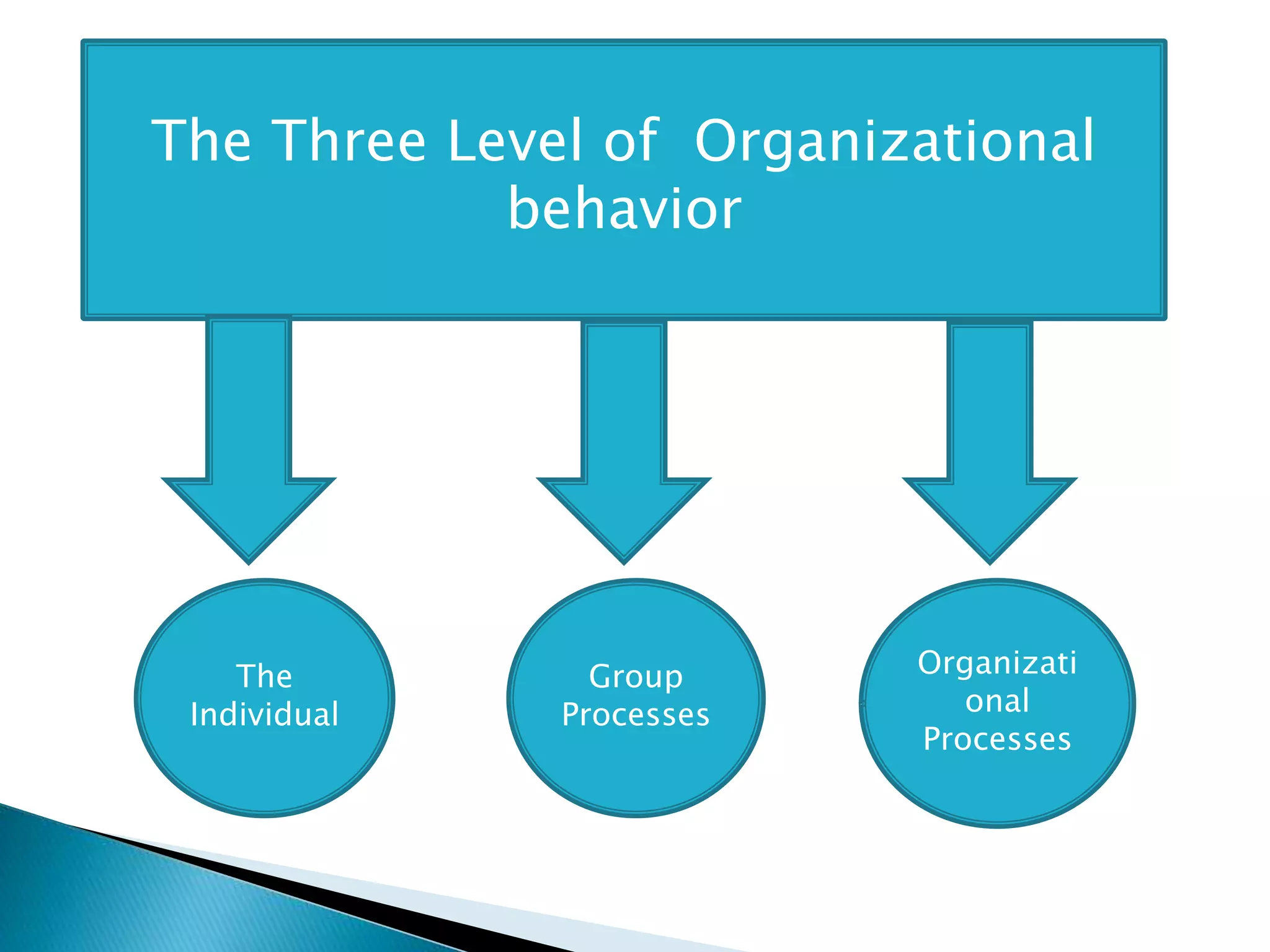 The Three Level of Organizational
behavior
The
Individual
Group
Processes
Organizati
onal
Processes
 