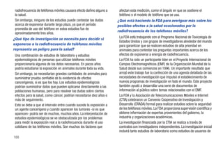radiofrecuencia de teléfonos móviles causara efecto dañino alguno a    afectan esta medición, como el ángulo en que se sostiene el
 la salud.                                                              teléfono o el modelo de teléfono que se usa.
 Sin embargo, ninguno de los estudios puede contestar las dudas        ¿Qué está haciendo la FDA para averiguar más sobre los
 acerca de exponerse durante largo plazo, ya que el período            posibles efectos a la salud ocasionados por la
 promedio de uso del teléfono en estos estudios fue de
                                                                       radiofrecuencia de los teléfonos móviles?
 aproximadamente tres años.
¿Qué tipo de investigación se necesita para decidir si                  La FDA está trabajando con el Programa Nacional de Toxicología de
                                                                        Estados Unidos y con grupos de investigadores alrededor del mundo
exponerse a la radiofrecuencia de teléfonos móviles                     para garantizar que se realicen estudios de alta prioridad en
representa un peligro para la salud?                                    animales para contestar las preguntas importantes acerca de los
 Una combinación de estudios de laboratorio y estudios                  efectos de exponerse a energía de radiofrecuencia.
 epidemiológicos de personas que utilizan teléfonos móviles             La FDA ha sido un participante líder en el Proyecto Internacional de
 proporcionaría algunos de los datos necesarios. En pocos años          Campos Electromagnéticos (EMF) de la Organización Mundial de la
 podría estudiarse la exposición en animales durante toda su vida.      Salud desde sus comienzos en 1996. Un importante resultado que
 Sin embargo, se necesitarían grandes cantidades de animales para       arrojó este trabajo fue la confección de una agenda detallada de las
 suministrar prueba confiable de la existencia de efectos               necesidades de investigación que impulsó el establecimiento de
 cancerígenos, si es que los hay. Los estudios epidemiológicos          nuevos programas de investigación en todo el mundo. Este proyecto
 podrían suministrar datos que pueden aplicarse directamente a las      también ayudó a desarrollar una serie de documentos de
 poblaciones humanas, pero para resolver las dudas sobre ciertos        información al público sobre temas relacionados con el EMF.
 efectos para la salud, como cáncer, podrían necesitarse diez años o    La FDA y la Asociación de Telecomunicaciones Móviles e Internet
 más de seguimiento.                                                    (CTIA) celebraron un Convenio Cooperativo de Investigación y
 Esto se debe a que el intervalo entre cuando sucede la exposición a    Desarrollo (CRADA) formal para realizar estudios sobre la seguridad
 un agente cancerígeno y cuando aparecen los tumores -si es que         de los teléfonos móviles. La FDA proporciona supervisión científica y
 aparecen- podría ser de muchos, muchos años. La interpretación de      obtiene información de expertos provenientes del gobierno, la
 estudios epidemiológicos se ve obstaculizada por los problemas         industria y organizaciones académicas.
 para medir la exposición real a la radiofrecuencia durante el uso      La investigación financiada por la CTIA se realiza a través de
 cotidiano de los teléfonos móviles. Son muchos los factores que        contratos con investigadores independientes. La investigación inicial
                                                                        incluirá tanto estudios de laboratorio como estudios de usuarios de
168
 